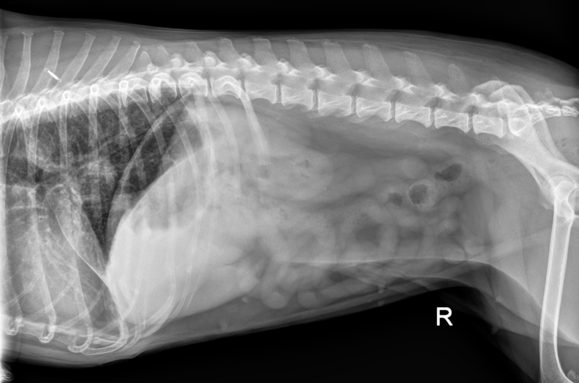 From Nine Findings to One Answer