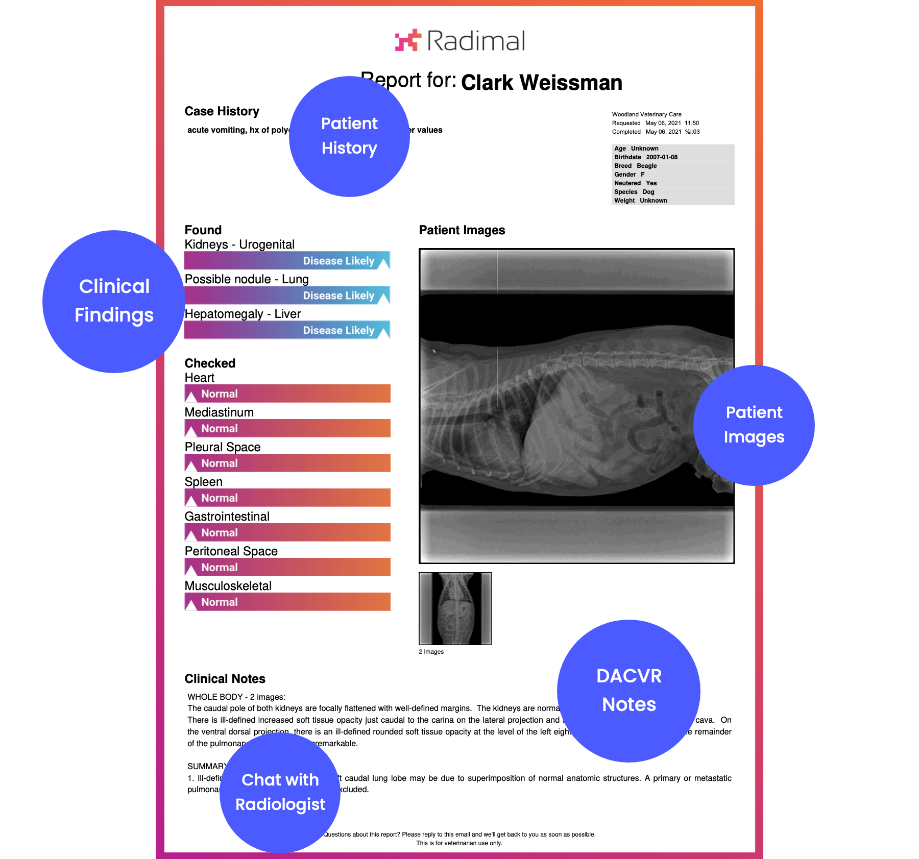 What Makes Our Radiology Reports Different – Radimal